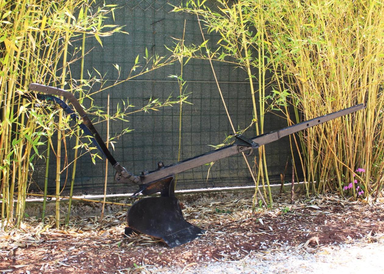 Oliven Garden Vila Rovinj Exterior foto